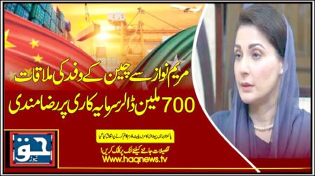 مریم نواز سے چین کے وفد کی ملاقات، 700 ملین ڈالر سرمایہ کاری پر رضامندی
